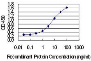 Detection limit for recombinant GST tagged PRMT6 is 0. (PRMT6 antibody  (AA 1-316))
