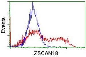 Image no. 2 for anti-Zinc Finger and SCAN Domain Containing 18 (ZSCAN18) antibody (ABIN1501856)