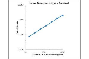 ELISA image for Granzyme K (Granzyme 3, Tryptase II) (GZMK) ELISA Kit (ABIN2472070) (GZMK ELISA Kit)