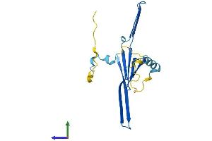 AlphaFold protein structure predicition of Mouse Recombinant Tcap Protein, UniprotID O70548 (TCAP Protein (AA 1-167) (His tag))