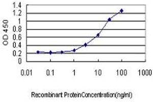 Detection limit for recombinant GST tagged MPZ is approximately 1ng/ml as a capture antibody. (MPZ antibody  (AA 1-258))