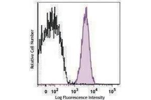 Flow Cytometry (FACS) image for anti-Integrin alpha M (ITGAM) antibody (APC-Cy7) (ABIN2660544) (CD11b antibody  (APC-Cy7))