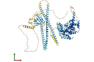 Protein Structure (PS) image for TBC1 Domain Family, Member 2 (TBC1D2) (AA 1-922) protein (His tag) (ABIN7562033)
