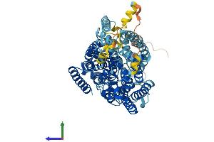 AlphaFold protein structure predicition of Mouse Recombinant Slc5a4a Protein, UniprotID Q9ET37 (Slc5a4a Protein (AA 1-656) (His tag))