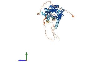 AlphaFold protein structure predicition of Mouse Recombinant Cckar Protein, UniprotID O08786 (CCKAR Protein (AA 1-436) (His tag))