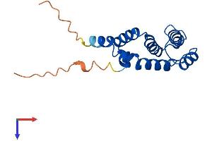 AlphaFold protein structure predicition of Human Recombinant RGS21 Protein, UniprotID Q2M5E4 (RGS21 Protein (AA 1-152) (His tag))