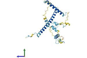 Protein Structure (PS) image for Leukocyte Receptor Cluster (LRC) Member 1 (Leng1) (AA 1-261) protein (His tag) (ABIN7561267)