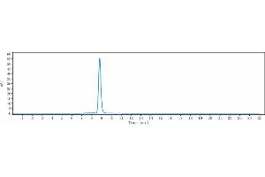 The purity of Anti-NGF / bNGF Reference Antibody (AS2886401-00) is more than 95 % , determined by SEC-HPLC. (Recombinant Nerve Growth Factor antibody)