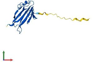 Protein Structure (PS) image for TRAF-Interacting Protein with Forkhead-Associated Domain, Family Member B (TIFAB) (AA 1-161) protein (His tag) (ABIN7544379)