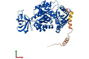 Protein Structure (PS) image for Pyruvate Kinase, Liver and RBC (PKLR) (AA 1-574) protein (His tag) (ABIN7563435)