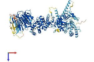 AlphaFold protein structure predicition of Human Recombinant HERC6 Protein, UniprotID Q8IVU3 (HERC6 Protein (AA 1-1022) (His tag))