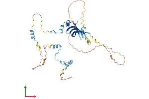 AlphaFold protein structure predicition of Mouse Recombinant Lsm11 Protein, UniprotID Q8BUV6