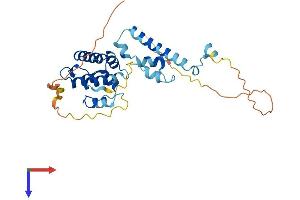 AlphaFold protein structure predicition of Mouse Recombinant Spata4 Protein, UniprotID Q8K3V1 (SPATA4 Protein (AA 1-295) (His tag))