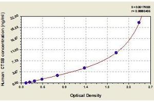 Typical standard curve (Cathepsin B ELISA Kit)