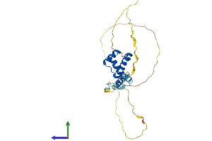Protein Structure (PS) image for TGFB-Induced Factor Homeobox 2 (TGIF2) (AA 1-237) protein (His tag) (ABIN7559093)