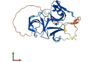 AlphaFold protein structure predicition of Human Recombinant SPIN1 Protein, UniprotID Q9Y657 (Spindlin 1 Protein (SPIN1) (AA 1-262) (His tag))