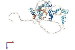 AlphaFold protein structure predicition of Human Recombinant ZKSCAN4 Protein, UniprotID Q969J2 (ZKSCAN4 Protein (AA 1-545) (His tag))