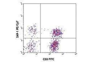 Flow Cytometry (FACS) image for anti-Chemokine (C-X3-C Motif) Receptor 1 (CX3CR1) antibody (PE-Cy7) (ABIN2659341) (CX3CR1 antibody  (PE-Cy7))