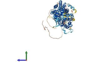 AlphaFold protein structure predicition of Mouse Recombinant Slco4a1 Protein, UniprotID Q8K078 (SLCO4A1 Protein (AA 1-723) (His tag))