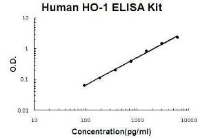 Human HO-1/HMOX1 PicoKine ELISA Kit standard curve (HMOX1 ELISA Kit)