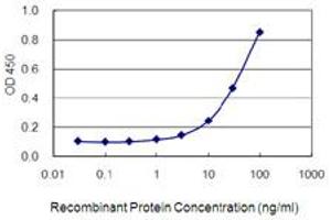 Detection limit for recombinant GST tagged FNBP1L is 1 ng/ml as a capture antibody. (FNBP1L antibody  (AA 175-239))
