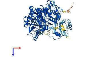 ACSS2 Protein (AA 1-701) (His tag)