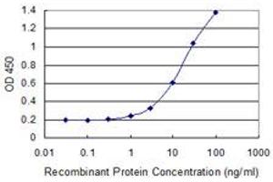 Detection limit for recombinant GST tagged PMS2 is 0. (PMS2 antibody  (AA 763-862))