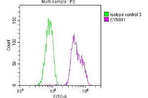 Overlay histogram showing Hela cells stained with ABIN7127374 (red line) at 1:50. (Recombinant BUB1B antibody)