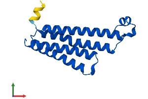AlphaFold protein structure predicition of Human Recombinant PTGES Protein, UniprotID O14684 (Prostaglandin E Synthase Protein (PTGES) (AA 1-152) (His tag))