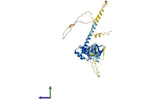 AlphaFold protein structure predicition of Mouse Recombinant Lmx1b Protein, UniprotID O88609 (LMX1B Protein (AA 1-395) (His tag))