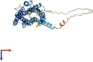 AlphaFold protein structure predicition of Human Recombinant GPR4 Protein, UniprotID P46093 (GPR4 Protein (AA 1-362) (His tag))