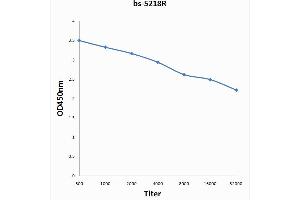 WEE1 antibody  (pSer123)