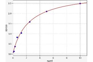 Angiotensin II Type-1 Receptor ELISA Kit