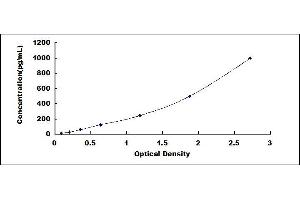 Typical standard curve (IL-18 ELISA Kit)