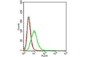 293T cells probed with CD59 Polyclonal Antibody, unconjugated  at 1:100 dilution for 30 minutes compared to control cells (blue) and isotype control (orange) (CD59 antibody  (AA 52-100))