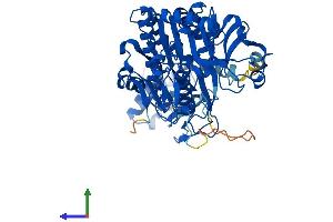 Protein Structure (PS) image for UDP-N-Acteylglucosamine Pyrophosphorylase 1 (UAP1) (AA 1-522) protein (His tag) (ABIN7544944)