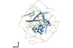 AlphaFold protein structure predicition of Mouse Recombinant Cux2 Protein, UniprotID P70298