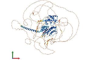AlphaFold protein structure predicition of Mouse Recombinant Gnas Protein, UniprotID Q6R0H7