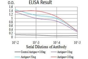 Black line: Control Antigen (100 ng),Purple line: Antigen (10 ng), Blue line: Antigen (50 ng), Red line:Antigen (100 ng) (TWIST2 antibody  (AA 1-160))