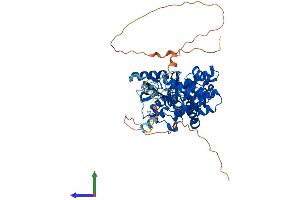 AlphaFold protein structure predicition of Human Recombinant MUTYH Protein, UniprotID Q9UIF7 (MUTYH Protein (AA 1-546) (His tag))