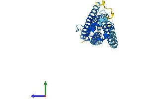Protein Structure (PS) image for Tetraspanin 3 (TSPAN3) (AA 1-253) protein (His tag) (ABIN7561776)