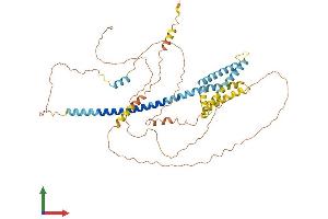 AlphaFold protein structure predicition of Human Recombinant TMEM266 Protein, UniprotID Q2M3C6 (Tmem266 Protein (AA 1-531) (His tag))