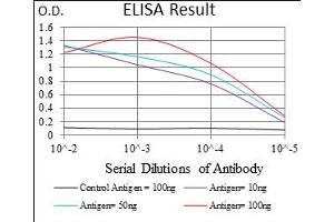 Fig. (Epsin 1 antibody  (AA 106-254))
