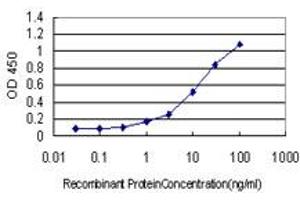 Detection limit for recombinant GST tagged LGMN is approximately 0. (LGMN antibody  (AA 1-433))