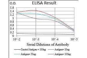 Black line: Control Antigen (100 ng), Purple line: Antigen(10 ng), Blue line: Antigen (50 ng), Red line: Antigen (100 ng), (ABCB1 antibody  (AA 632-693))