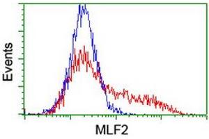 Flow Cytometry (FACS) image for anti-Myeloid Leukemia Factor 2 (MLF2) antibody (ABIN1499501) (MLF2 antibody)