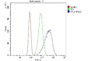 Flow Cytometry analysis of Caco-2 cells using anti-RAB11B antibody (ABIN7602766). (RAB11B antibody  (C-Term))
