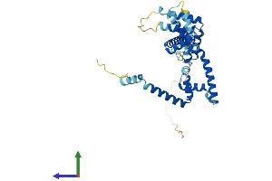 AlphaFold protein structure predicition of Mouse Recombinant Dnajc25 Protein, UniprotID A2ALW5