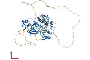 AlphaFold protein structure predicition of Human Recombinant MELK Protein, UniprotID Q14680 (MELK Protein (AA 1-651) (His tag))