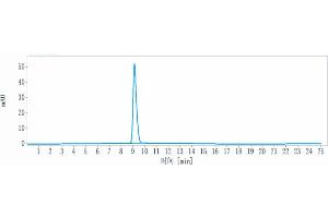 The purity of Anti-ERBB1 / EGFR / HER1 Reference Antibody (7A7) is more than 95 % , determined by SEC-HPLC. (Recombinant EGFR antibody)